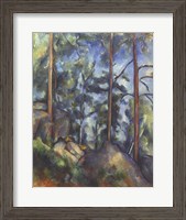 Framed Pines, 1896-99