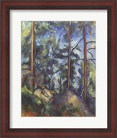 Framed Pines, 1896-99