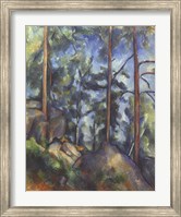 Framed Pines, 1896-99