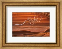 Framed Coyote Buttes III