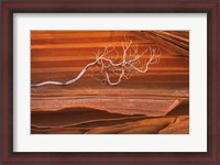 Framed Coyote Buttes III