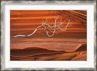 Framed Coyote Buttes III