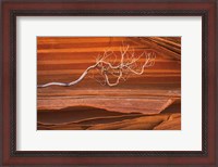 Framed Coyote Buttes III