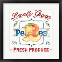 Fruit Stand III Framed Print