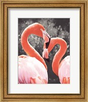 Framed Flamingo II on BW
