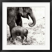 Framed Mother and Daughter