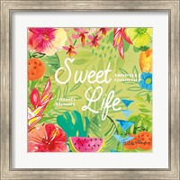 Framed Tutti Frutti X