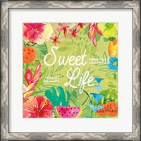 Framed Tutti Frutti X