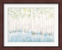 Framed Soft Birches