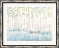 Framed Soft Birches