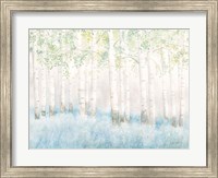 Framed Soft Birches