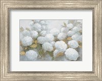 Framed Annabelle Hydrangeas Blue Gray Crop
