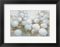 Framed Annabelle Hydrangeas Blue Gray Crop