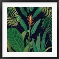 Dramatic Tropical II Framed Print