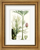 Framed Tropical Plants III