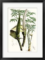 Framed Tropical Plants IV