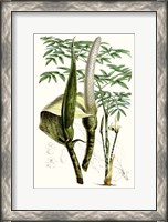 Framed Tropical Plants IV