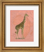 Framed African Animals on Coral I
