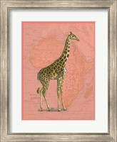 Framed African Animals on Coral I
