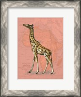 Framed African Animals on Coral II