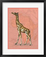 Framed African Animals on Coral II