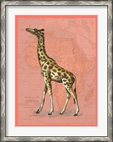 Framed African Animals on Coral II