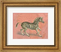 Framed African Animals on Coral III