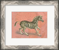 Framed African Animals on Coral III