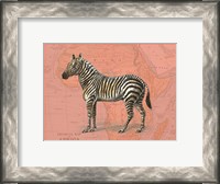Framed African Animals on Coral IV