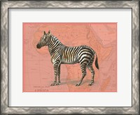 Framed African Animals on Coral IV