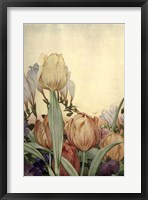 Garden Fantasy I Framed Print