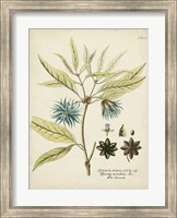 Framed Eloquent Botanical III