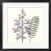 Graceful Botanical III Framed Print