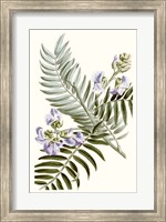 Framed Graceful Botanical IV
