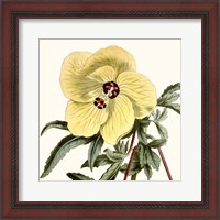 Framed Cropped Antique Botanical VII