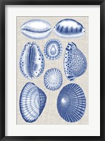 Navy & Linen Shells I Framed Print