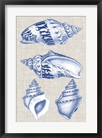 Navy & Linen Shells II Framed Print