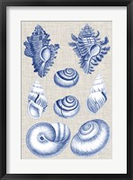 Navy & Linen Shells IV Framed Print