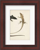 Framed Lizard Diptych II