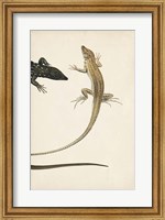 Framed Lizard Diptych II