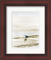 Framed Coastal Gull II