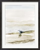 Framed Coastal Gull II