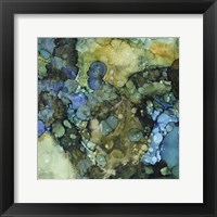 Framed Sea Tangle II