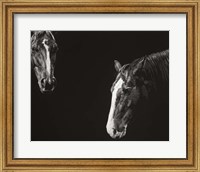 Framed Cowboy Scratchboard III