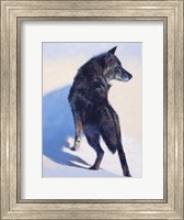 Framed Wolf Study I