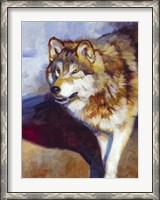 Framed Wolf Study II