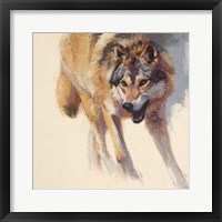 Framed Wolf Study IV