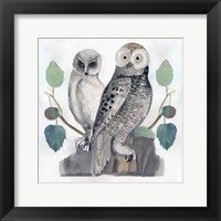 Framed Traditional Owls I
