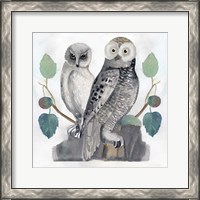 Framed 'Traditional Owls I' border=