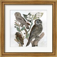 Framed 'Traditional Owls II' border=